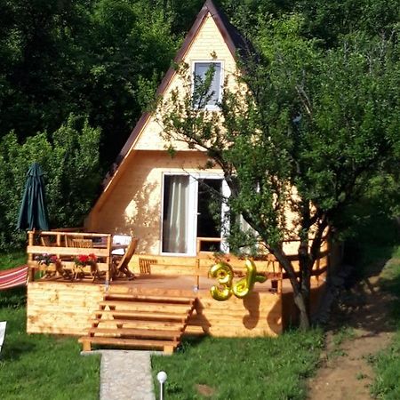 Cabana Din Livada Pucioasa Exterior photo