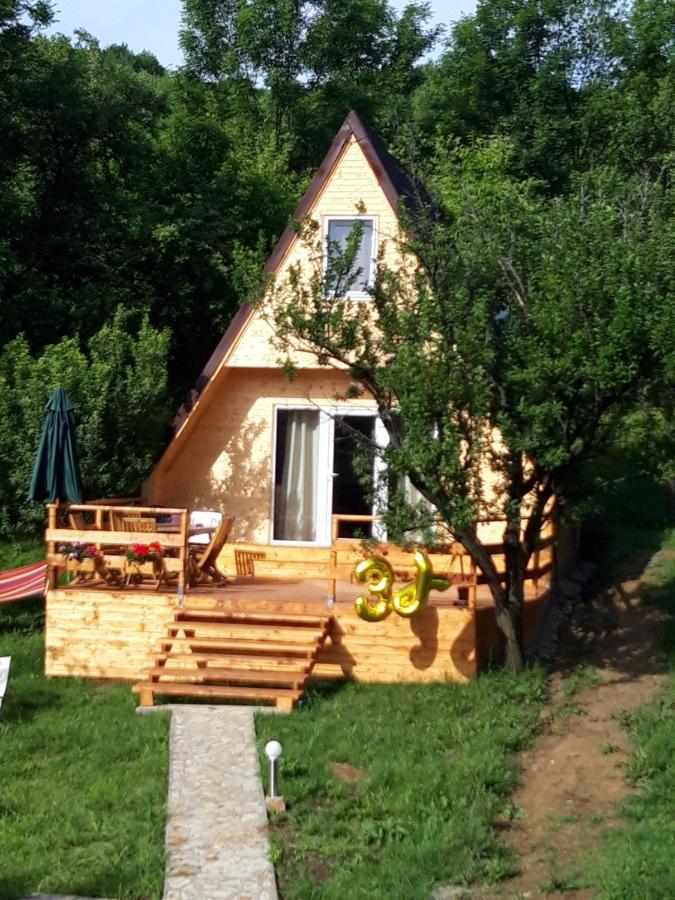 Cabana Din Livada Pucioasa Exterior photo